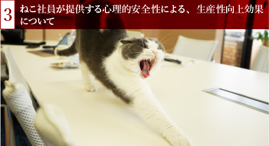 ねこ社員が提供する心理的安全性による、生産性向上効果について